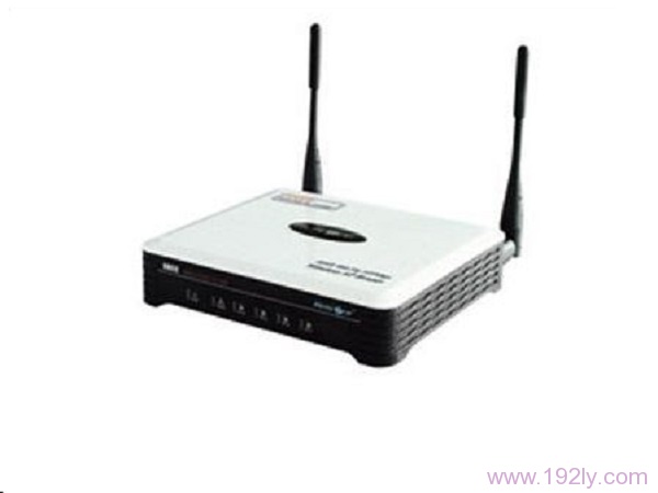 磊科NW618无线路由器