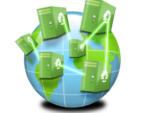 电脑已连接wifi但无法上网解决办法