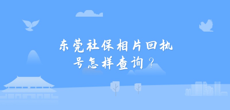 东莞社保相片回执号怎样查询？