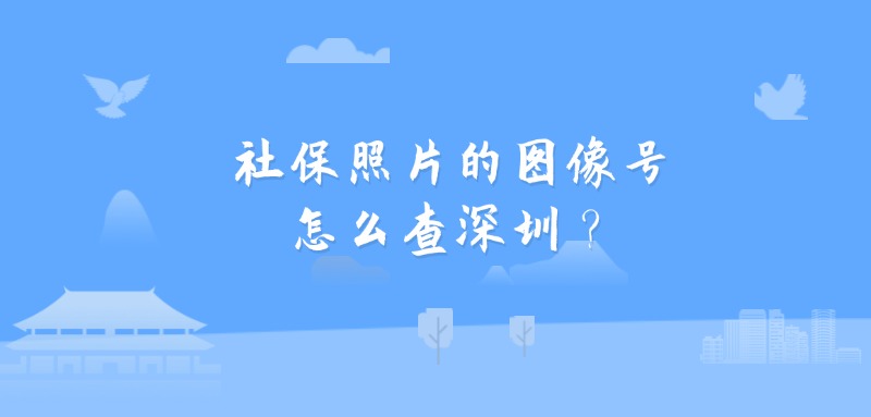 社保照片的图像号怎么查深圳？