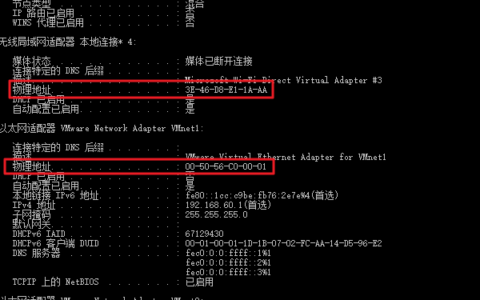 如何查看电脑的MAC地址