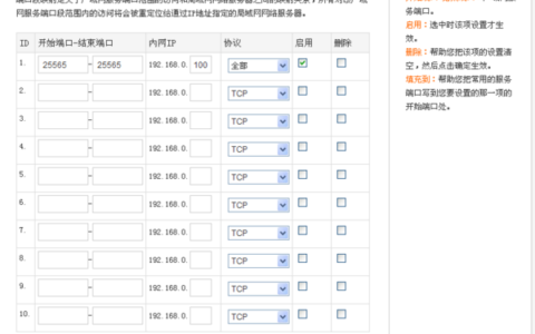 什么是端口映射？
