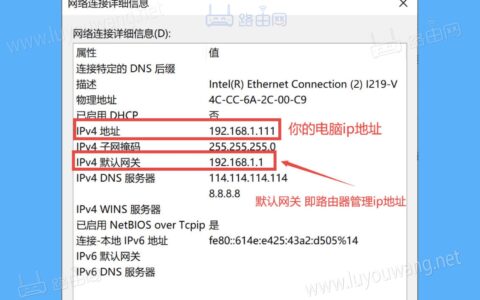 电脑本机ip地址怎么查询？（Windows系统IP地址查询方法）