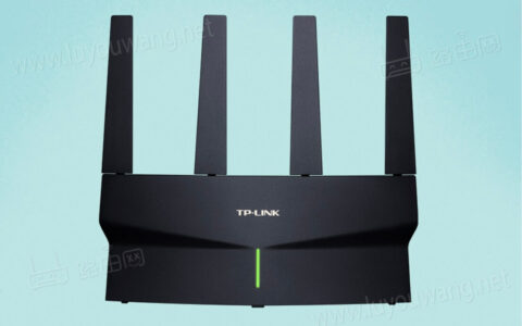 双2.5G网口 TP-LINK AX6000路由器 NAS用户福音