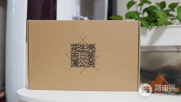 蒲公英4G插卡无线路由器X4C(4G无线插卡路由器)