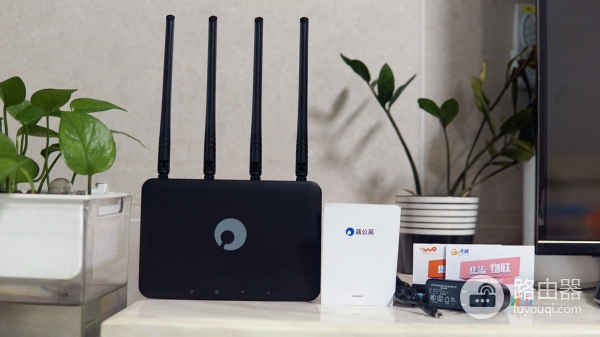 蒲公英4G插卡无线路由器X4C(4G无线插卡路由器)