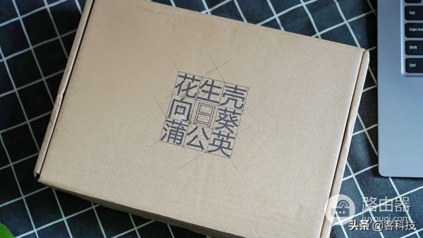 工业路由器很牛么?蒲公英R300A体验,4G、组网都牛