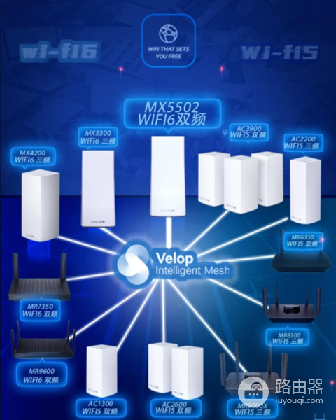 分布式路由器真的有必要吗(分布式路由器好吗)