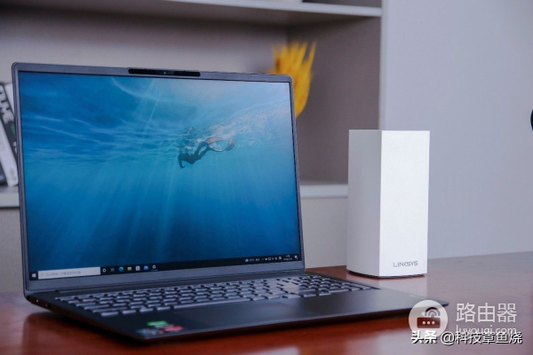 普通小白买路由器关注哪些点？领势带你一次搞明白