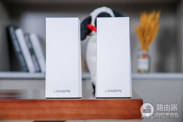 普通小白买路由器关注哪些点？领势带你一次搞明白