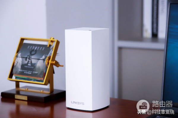 普通小白买路由器关注哪些点？领势带你一次搞明白