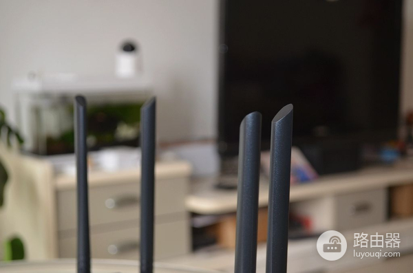 蒲公英路由器X5(蒲公英路由器X5有什么优点)