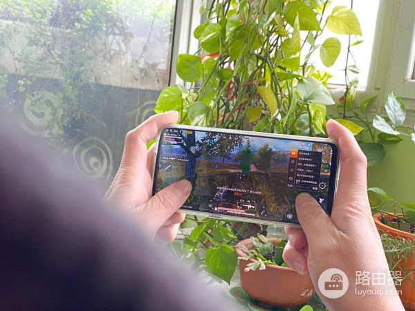 mesh路由选择3频还是双频(mesh路由器双频和三频)