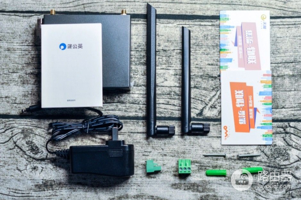 蒲公英路由器R300保驾护航(蒲公英X3路由器)