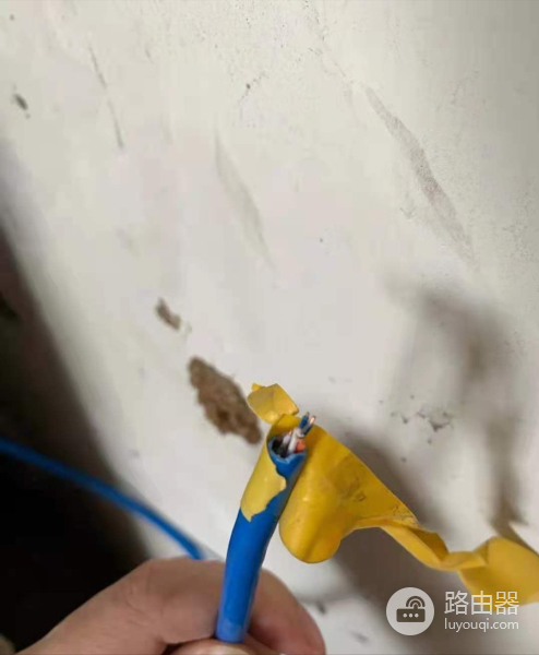 怎样做到信号满格上网(怎么让网络满格)