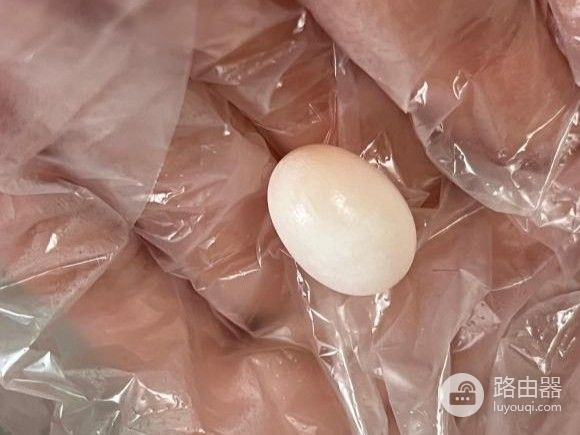 用路由器把鸟蛋孵化出来了(路由器孵化小鸟)