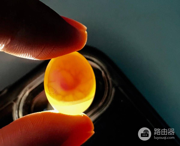 用路由器把鸟蛋孵化出来了(路由器孵化小鸟)