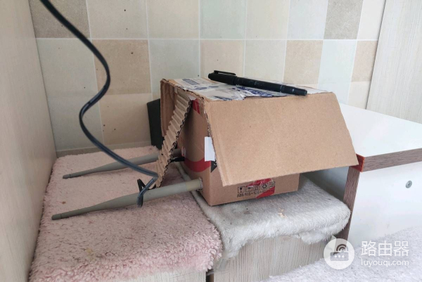 用路由器把鸟蛋孵化出来了(路由器孵化小鸟)