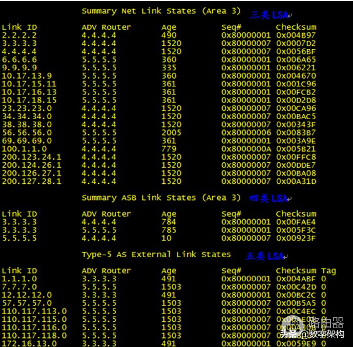 路由篇｜动态路由协议OSPF·综合实验