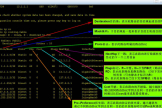 路由表和FIB表详解(看懂路由表)