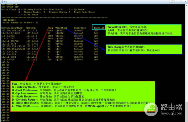 路由表和FIB表详解(看懂路由表)
