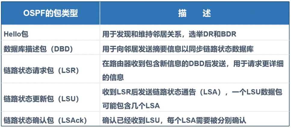 5分钟搞清楚OSPF链路状态路由协议(ospf链路状态路由协议)