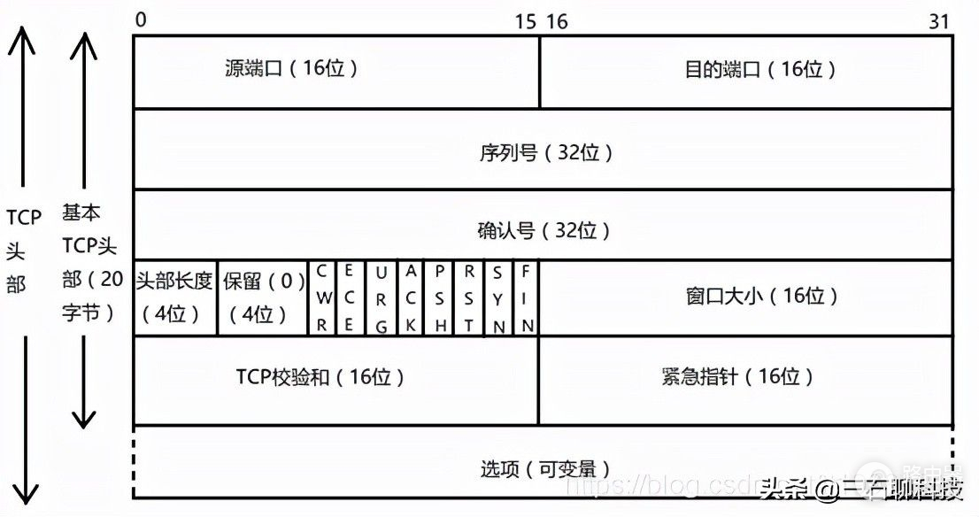 OSPF路由协议学习笔记2——基础 链路层 tcp/IP 七层协议