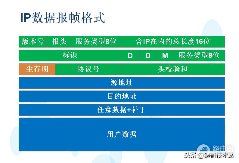 路由器与IP地址(路由器上地址是哪个)