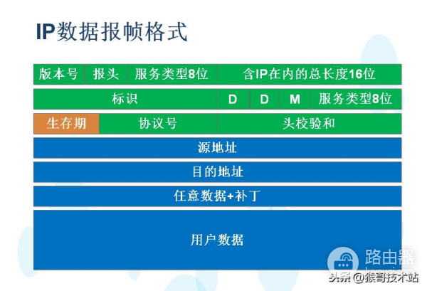 路由器与IP地址(路由器上地址是哪个)
