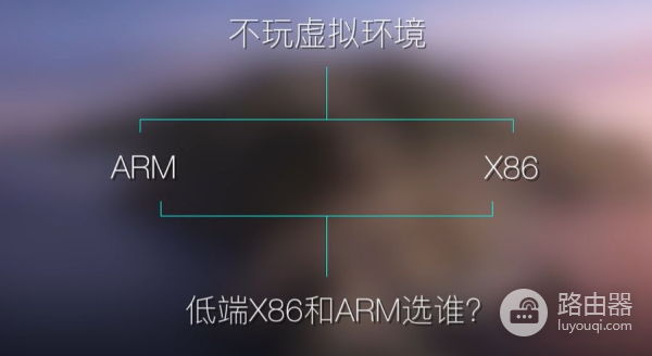 软路由器怎么选(快软路由器哪个好)