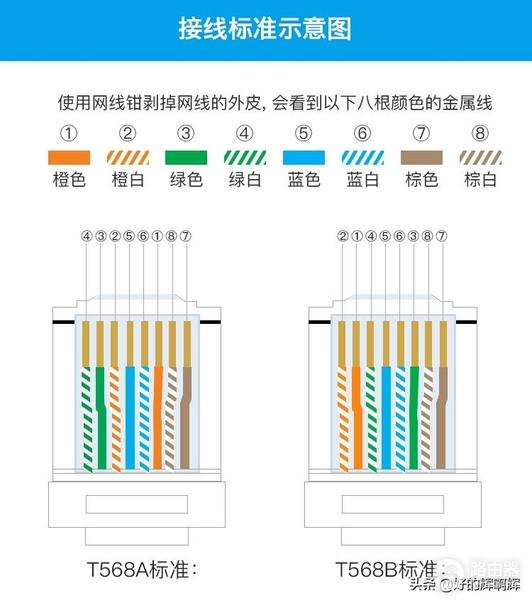 为什么自家的网速很慢或者上不了网(为什么自己的网速很慢怎么办)