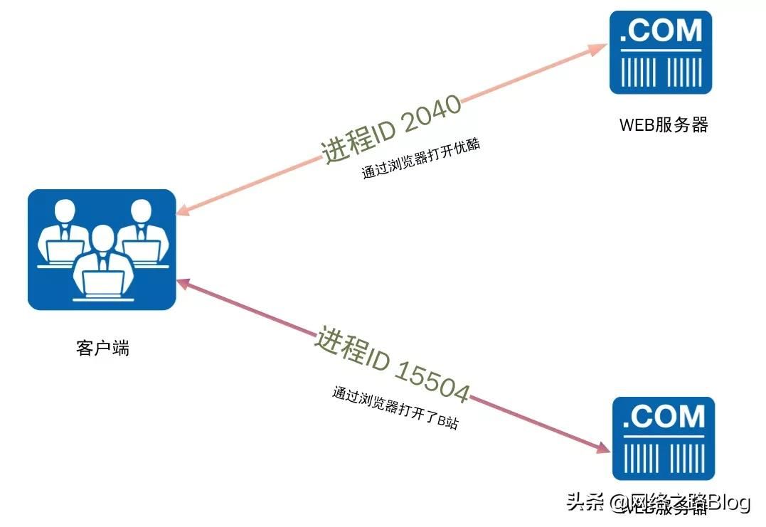 带你认识网络世界(网络世界的认识)