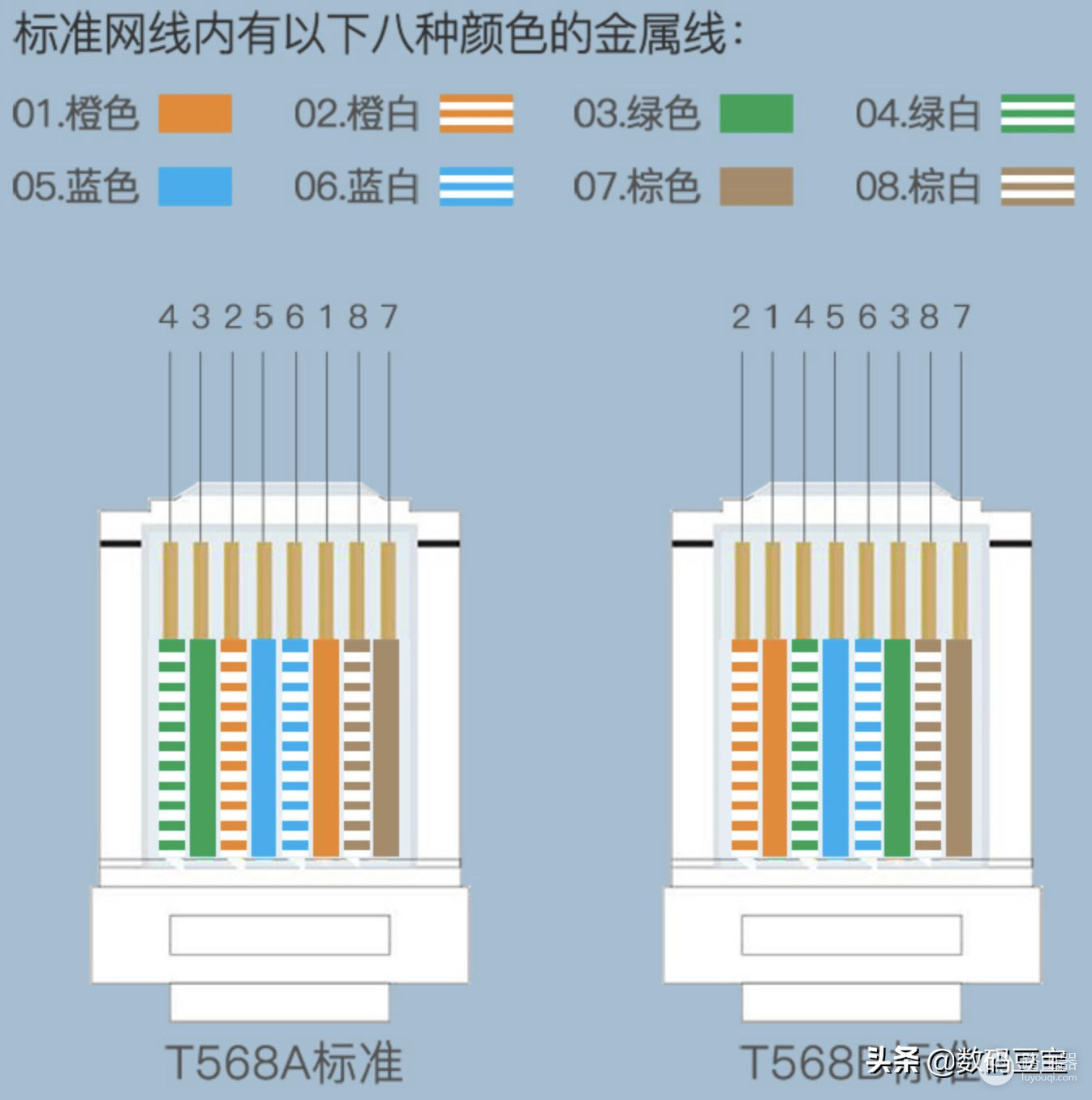 网线选购完全指南(网线购买指南)