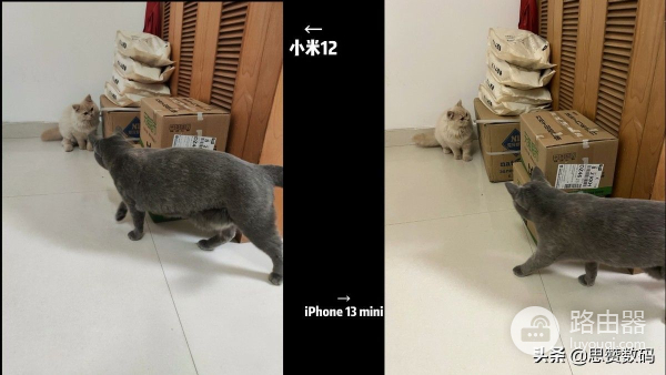 小米12首次体验就翻车?对比苹果iPhone 13mini测评