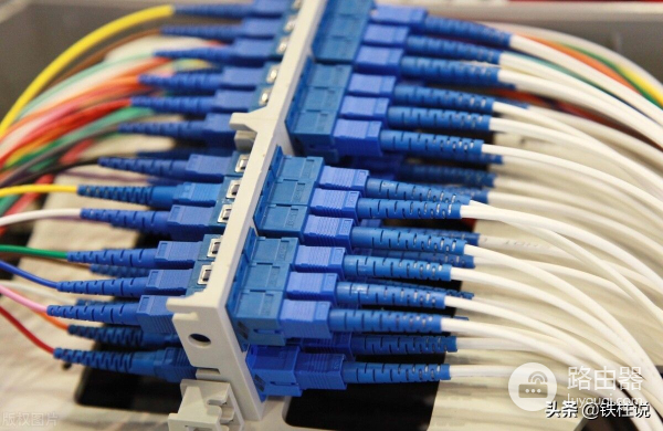 想让家里的网速飞起来(怎样才能让家里的网速快到飞起来)