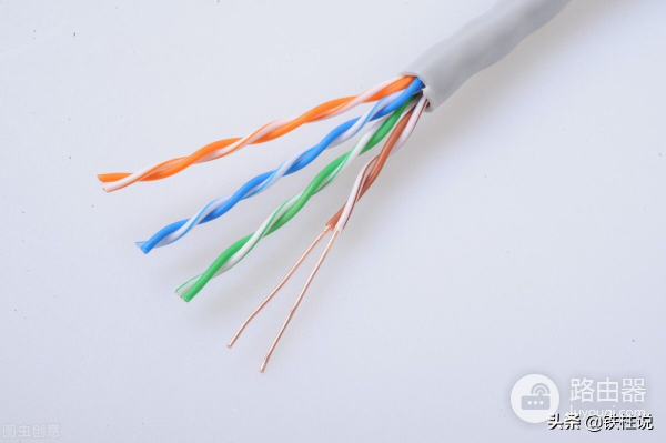 想让家里的网速飞起来(怎样才能让家里的网速快到飞起来)