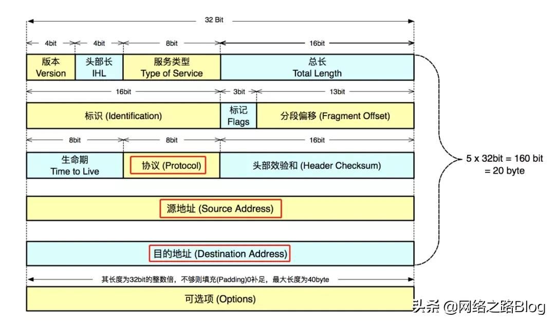 网络层之IP协议(IP层协议)