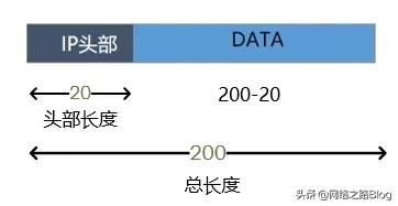 网络层之IP协议(IP层协议)