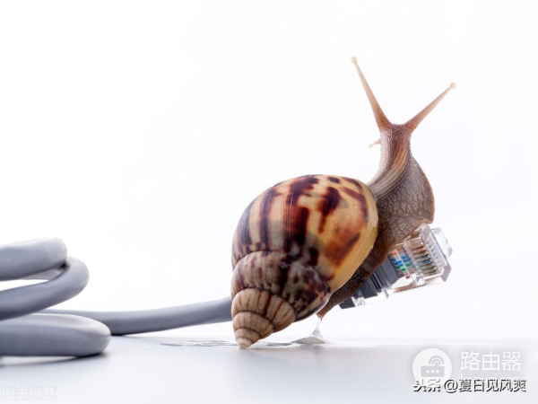 用了5G手机,网速依然很慢,其实你可能忘记打开这个开关了?