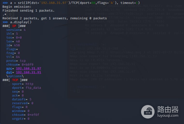 网络安全里四层发现的工具介绍