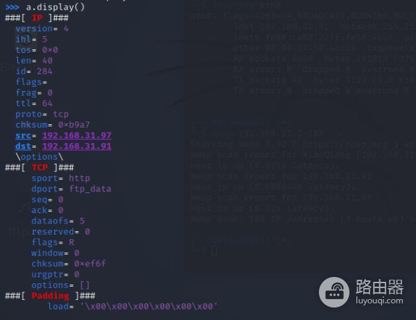网络安全里四层发现的工具介绍