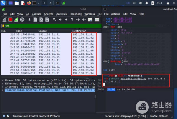 网络安全里四层发现的工具介绍