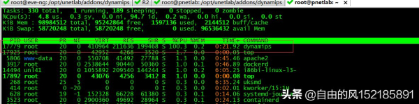 pnet模拟器导入dynamips(pnet模拟器导入华为设备)