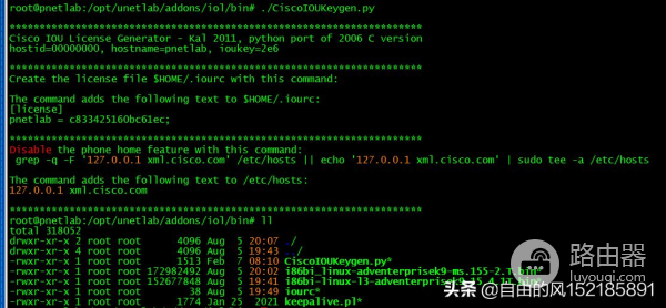pnet模拟器导入dynamips(pnet模拟器导入华为设备)