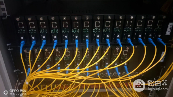 看图认识各种光纤跳线(光纤跳线图解)