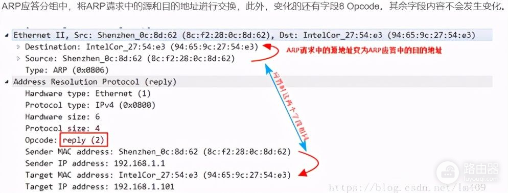 「网工小白必备」全网最详细的网络基础之ARP协议