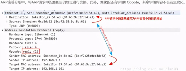 「网工小白必备」全网最详细的网络基础之ARP协议