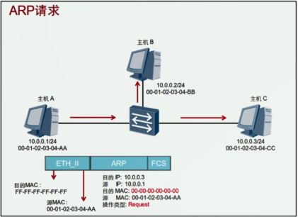 「网工小白必备」全网最详细的网络基础之ARP协议