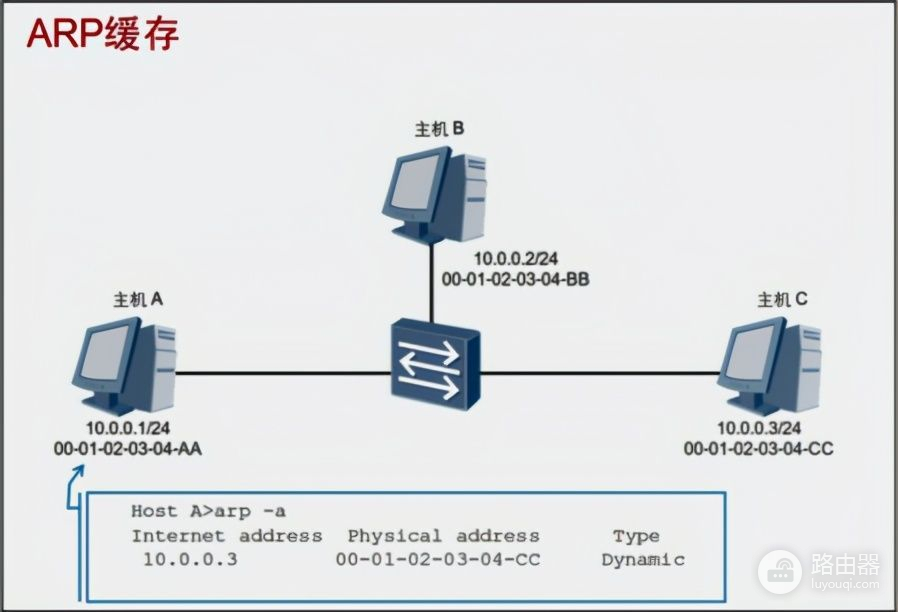 「网工小白必备」全网最详细的网络基础之ARP协议