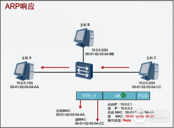 「网工小白必备」全网最详细的网络基础之ARP协议
